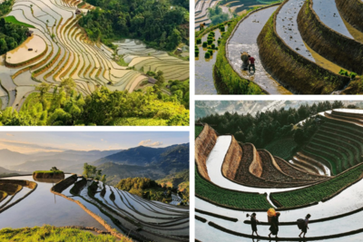 Terraces in Ha Giang Loop: Vietnam's Agricultural Masterpieces