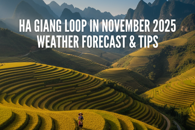 Explore the Ha Giang Loop in November 2025: Weather Forecast & Tips