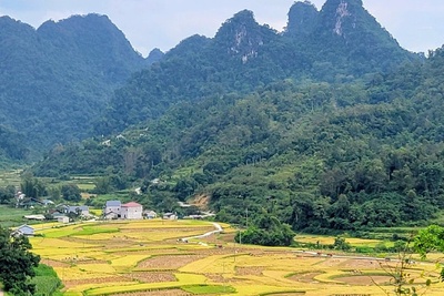 Cao Bang Tourism discover the untamed beauty of northern vietnam