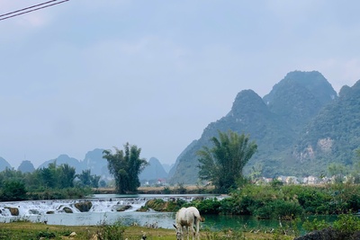 Ban Gioc Waterfall Border China – A Natural Wonder Shared Two Nations