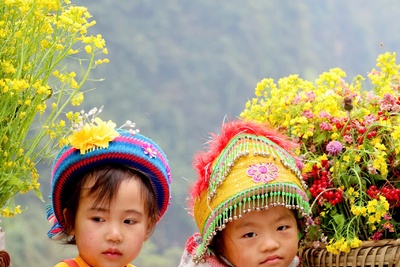 Meo Vac to Cao Bang  A Scenic Journey Through Northern Vietnam’s