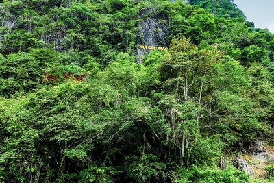 Pac Bo Historical Site – Where Vietnam’s Modern History Began