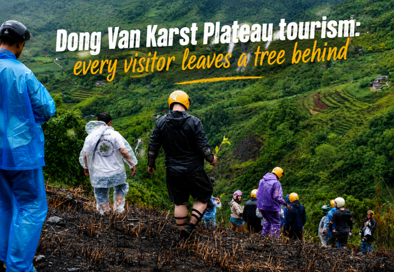 Dong Van Karst Plateau tourism: every visitor leaves a tree behind