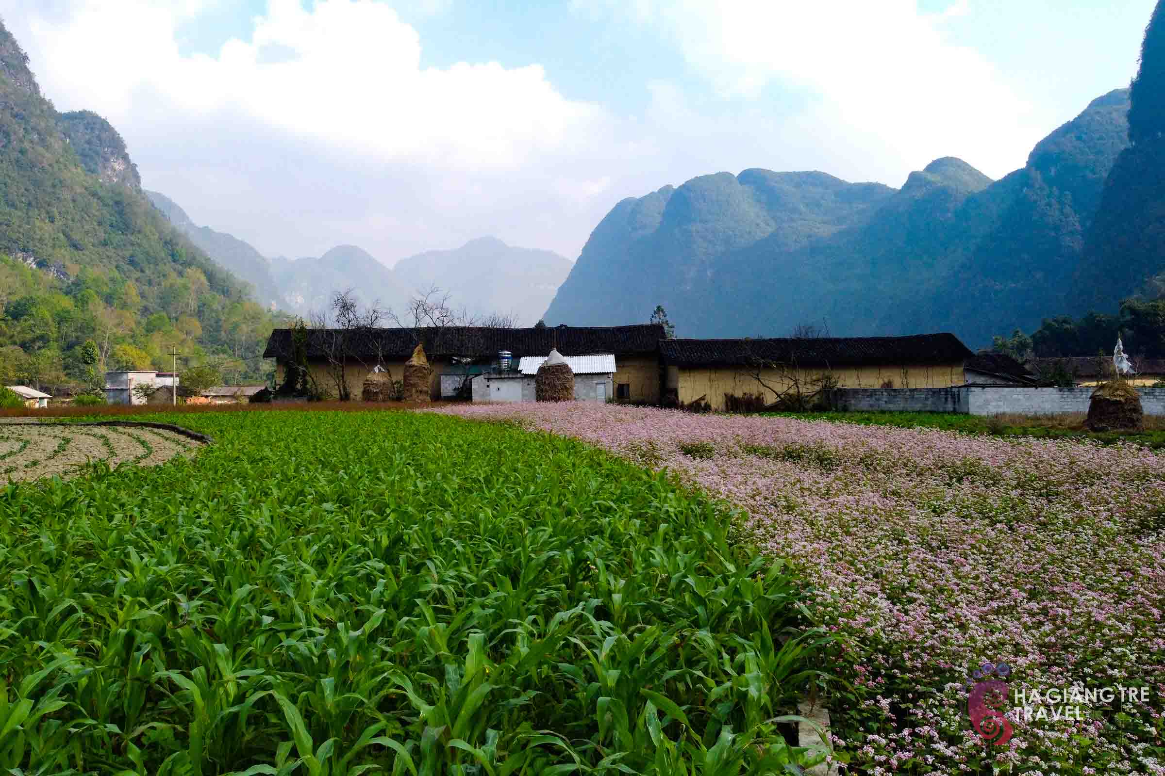 Pho Cao Village in Ha Giang Loop