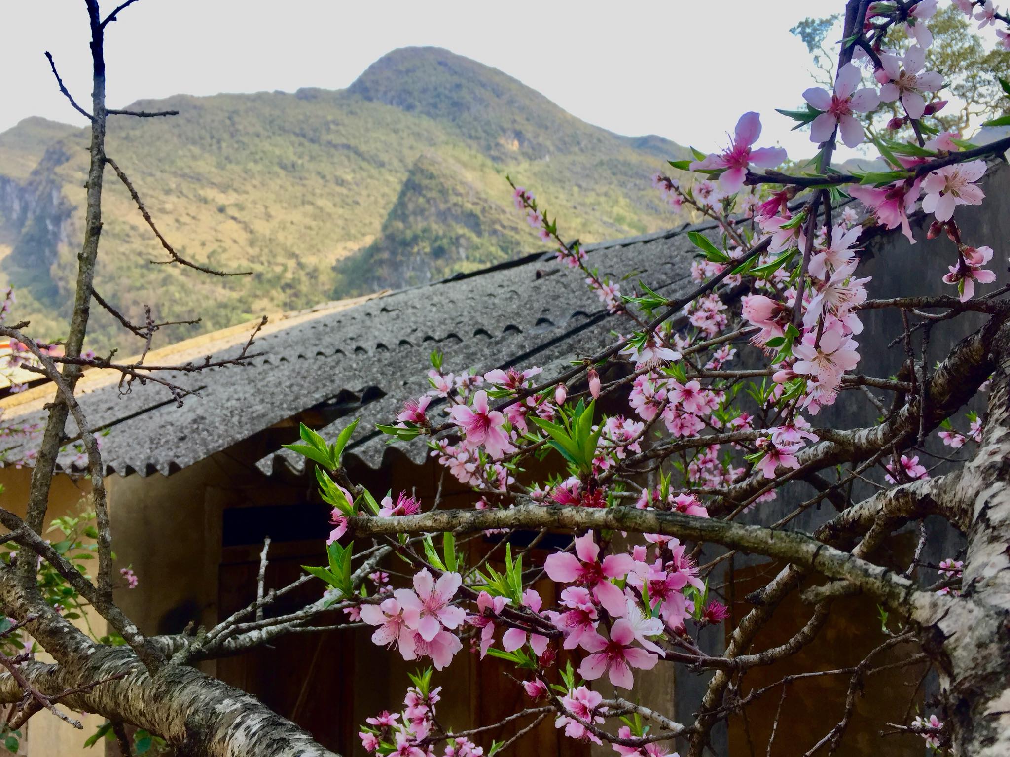 ha giang loop route