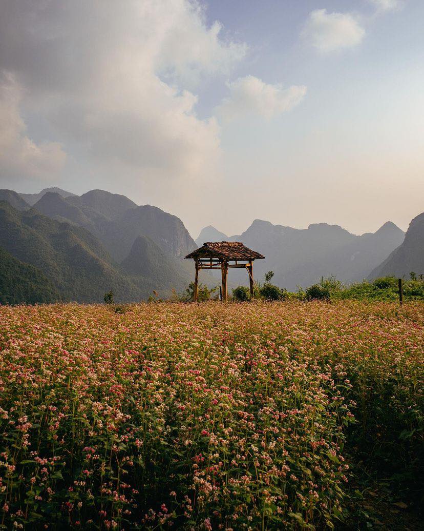 ha giang loop