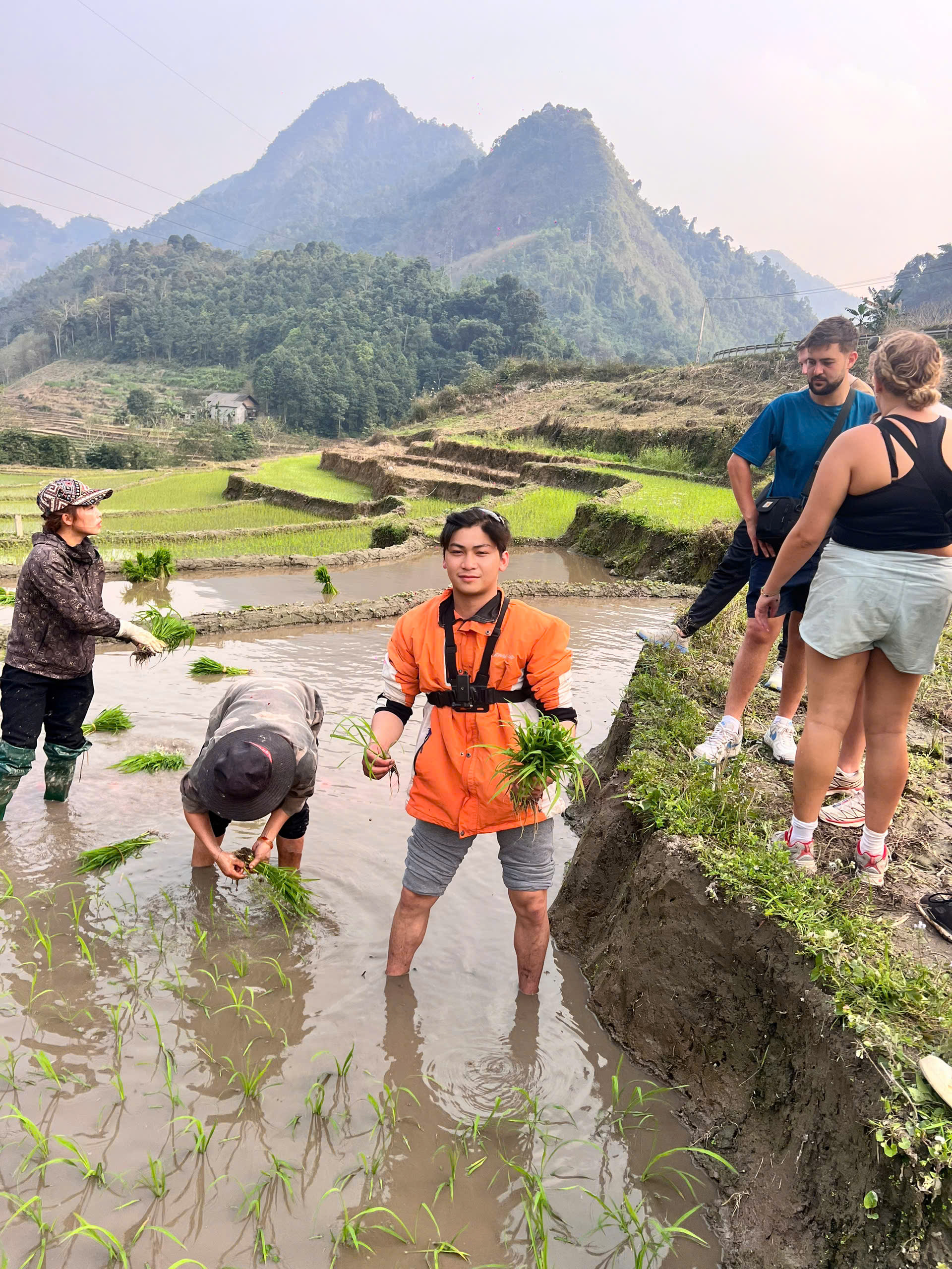Plant rice in Ha Giang Loop