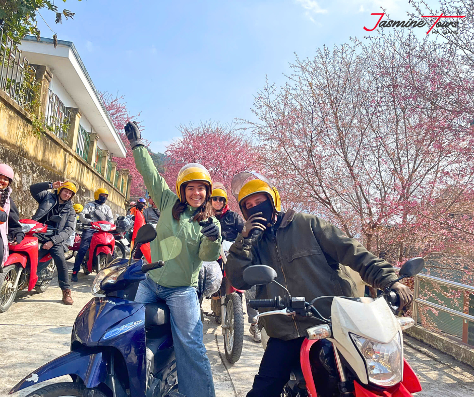 vietnam traffic laws 2025 about Tour Companies Held Legally Accountable