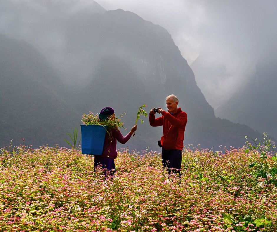 bucketwheat on ha giang loop in autumn 2025