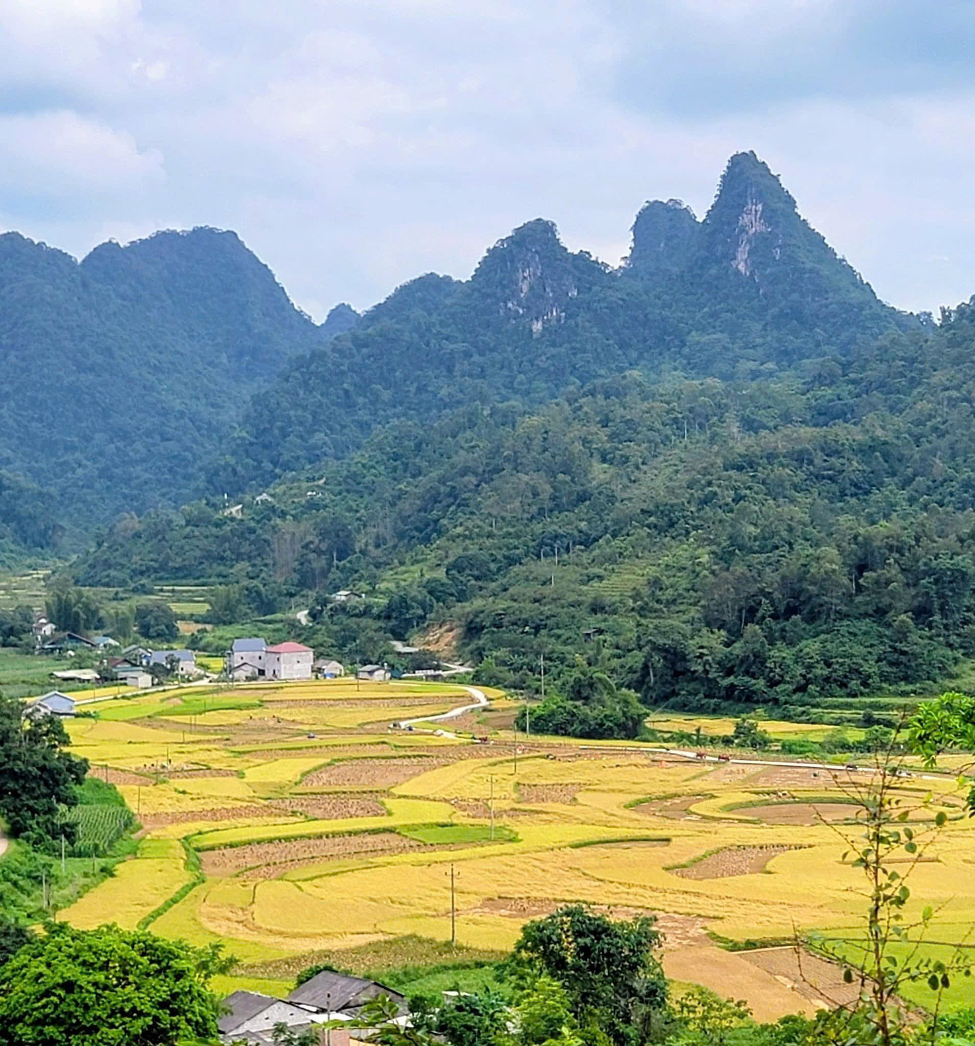 explore non nuoc on ha giang loop with jasmine tour