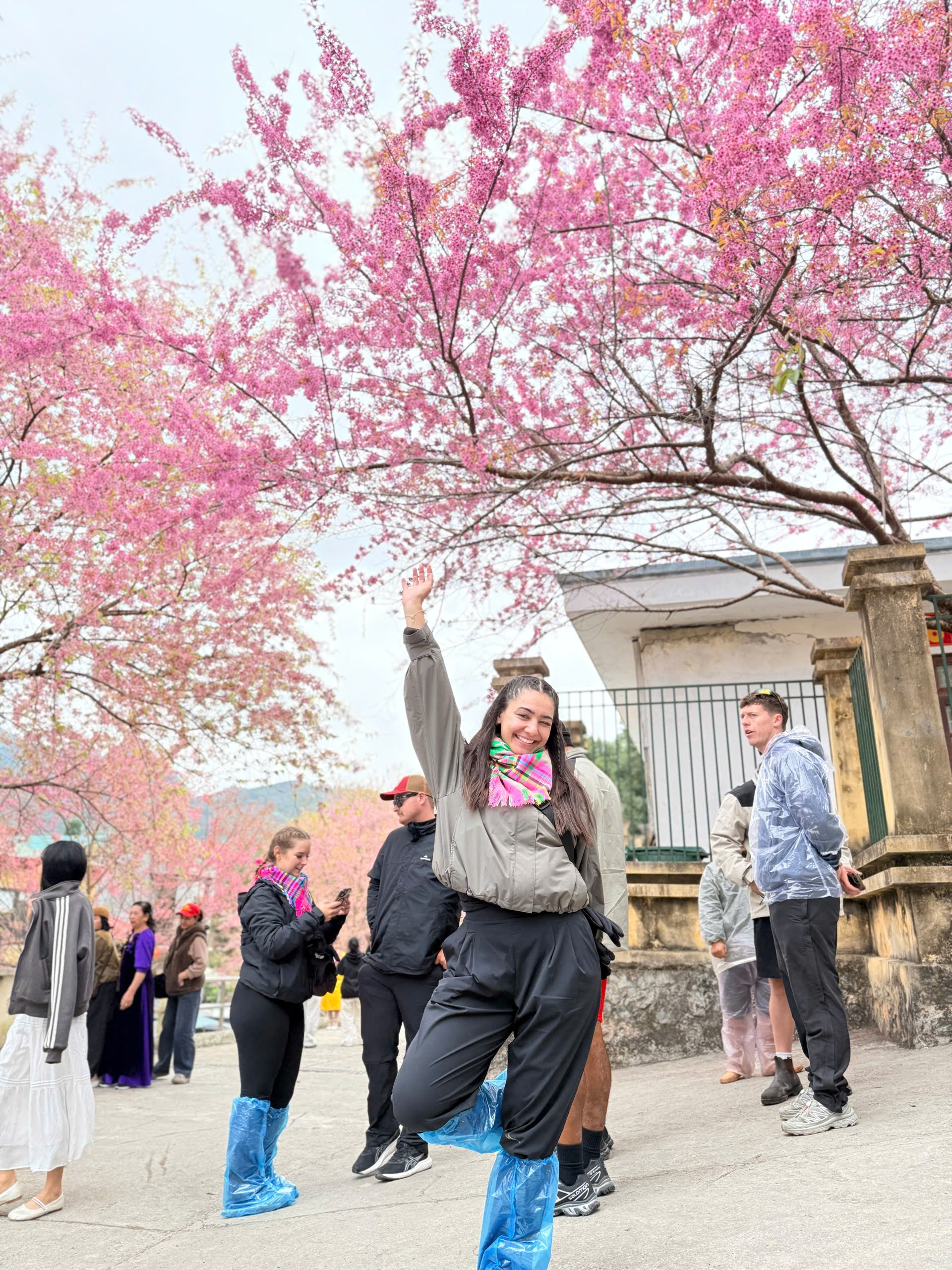 explore cao bang ban gioc with jasmine tour on ha giang loop