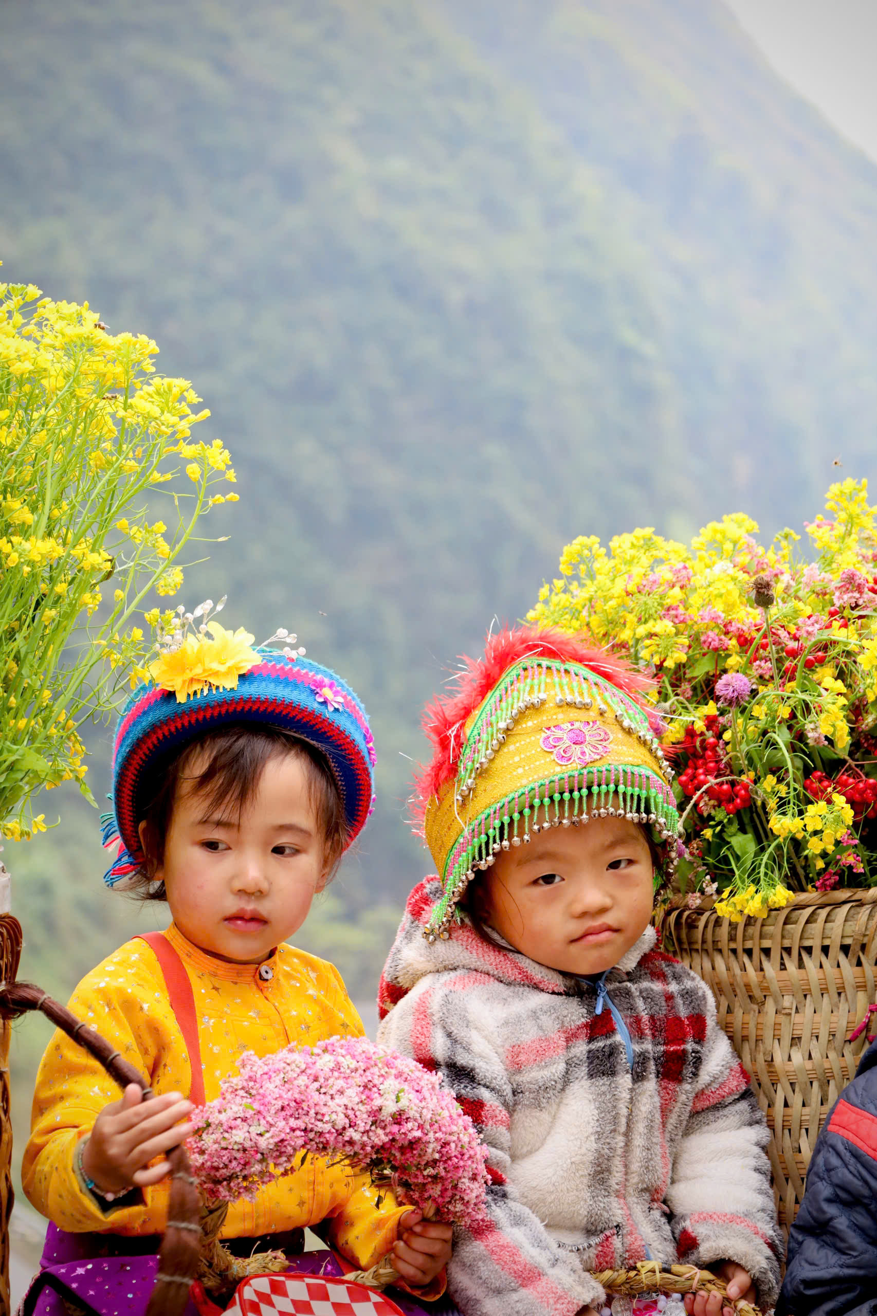 Ban Gioc Waterfall Cao