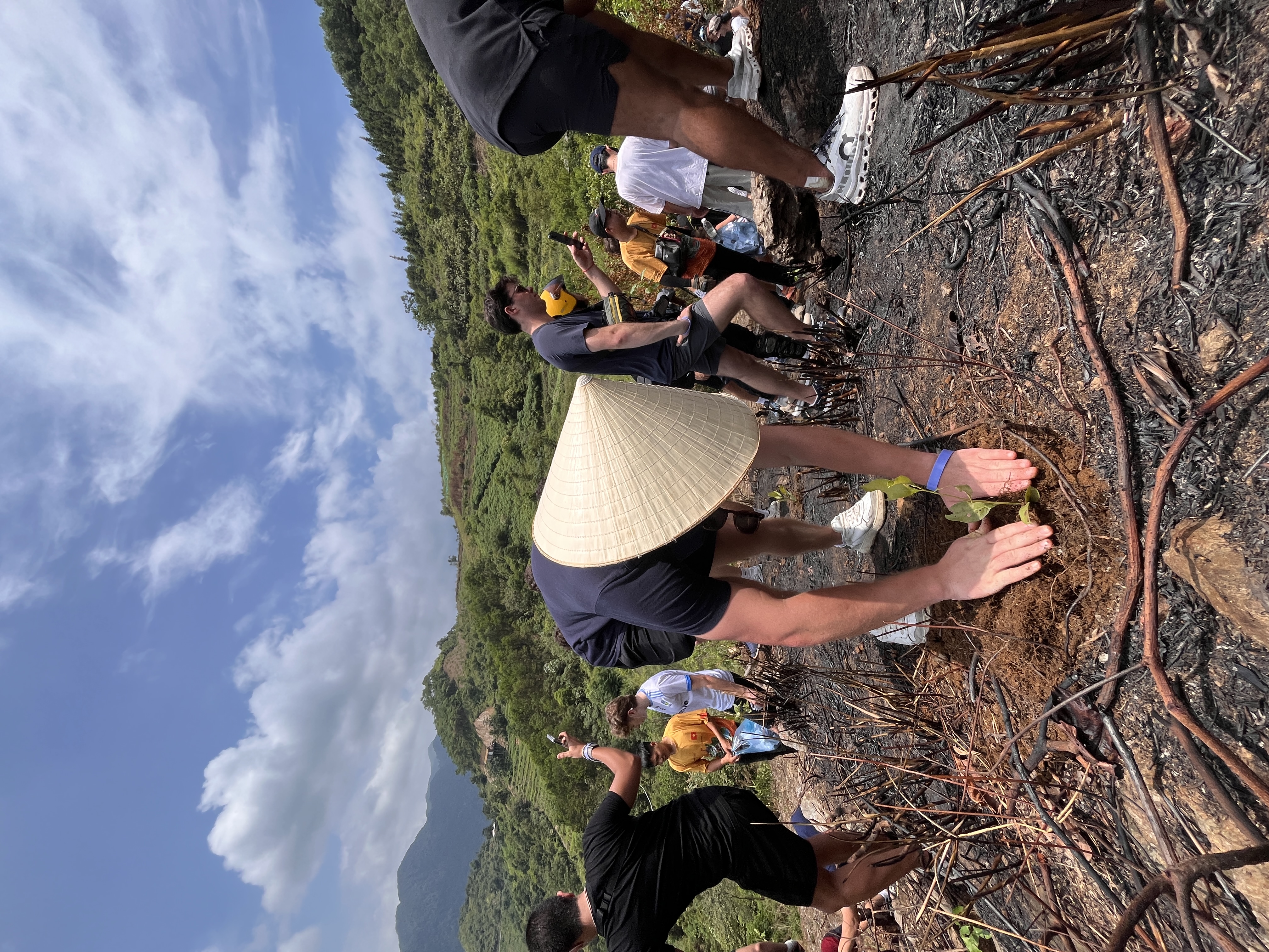 Ha Giang Weather Plant Tree