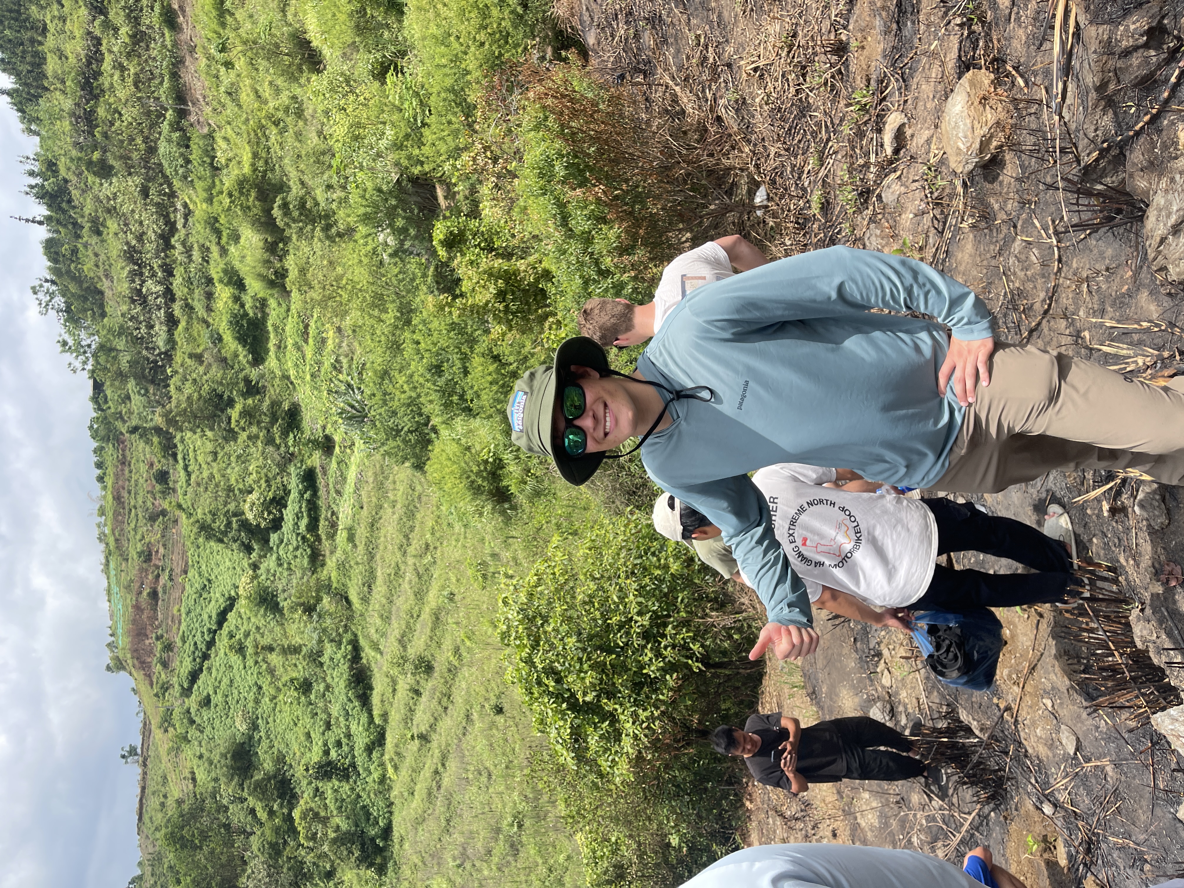 Meo Vac Ha Giang Plant Tree