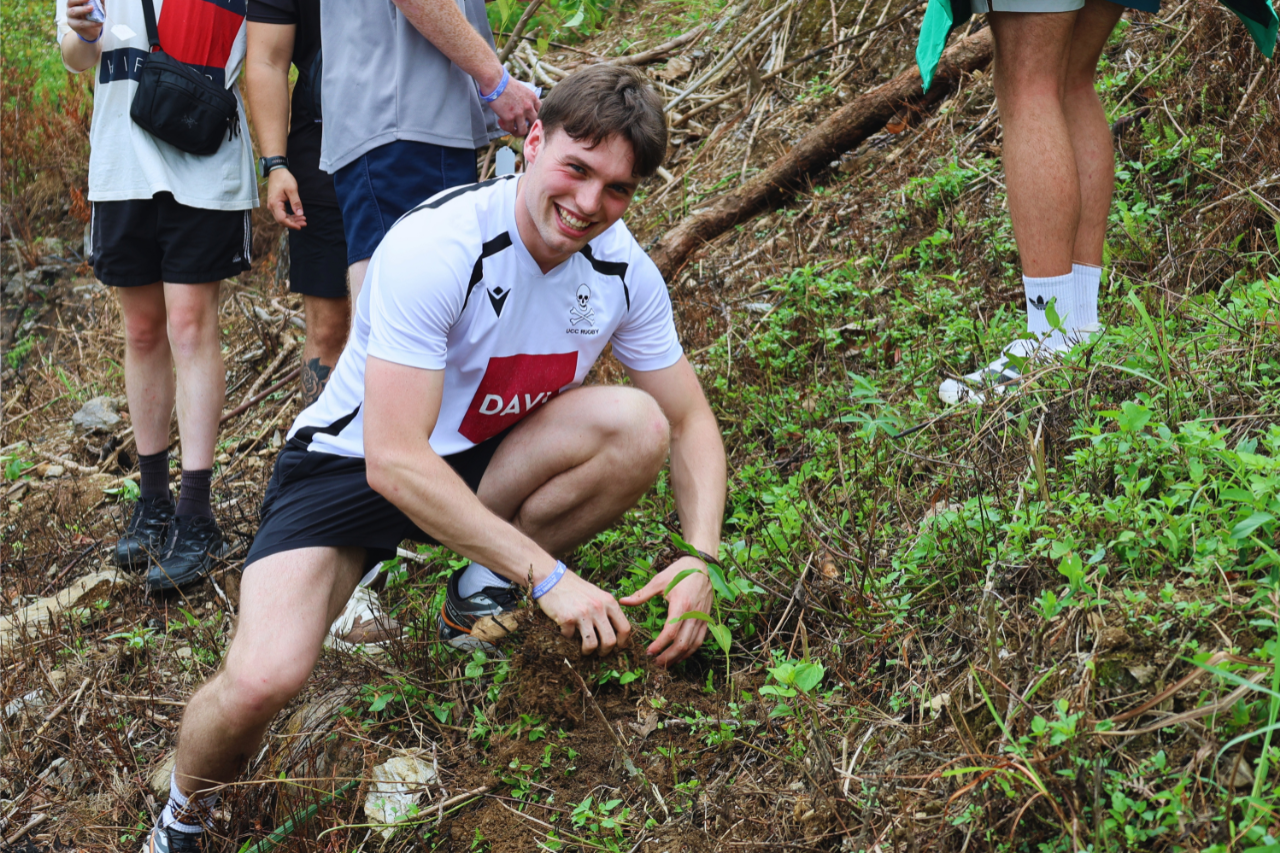 Ha Giang Death Plant Tree