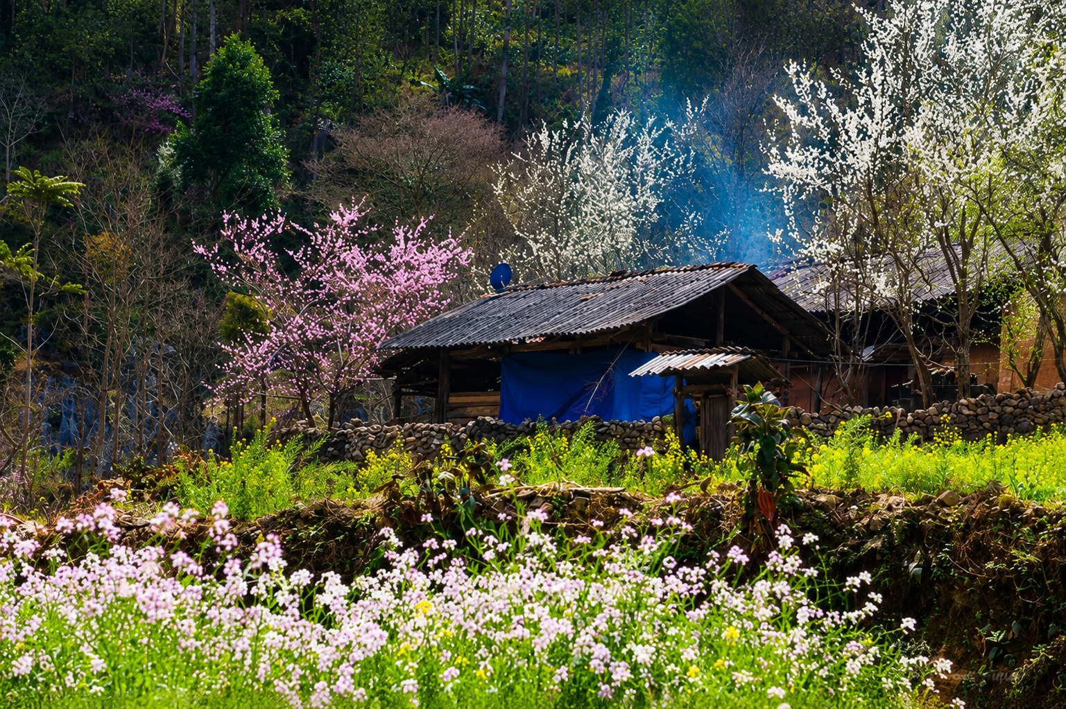 Ha Giang Weather spring
