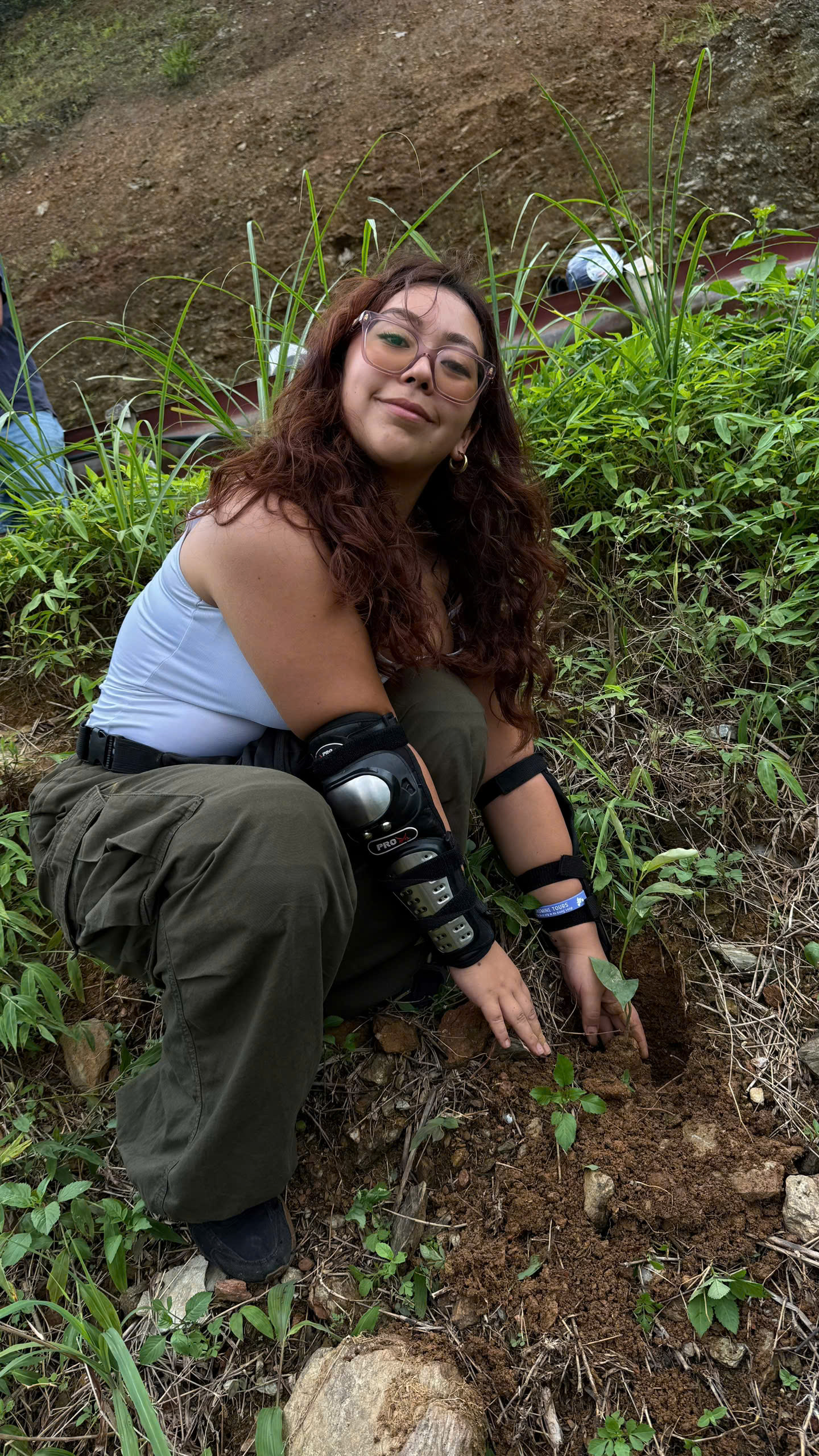 Ha Giang Loop Solo plant tree
