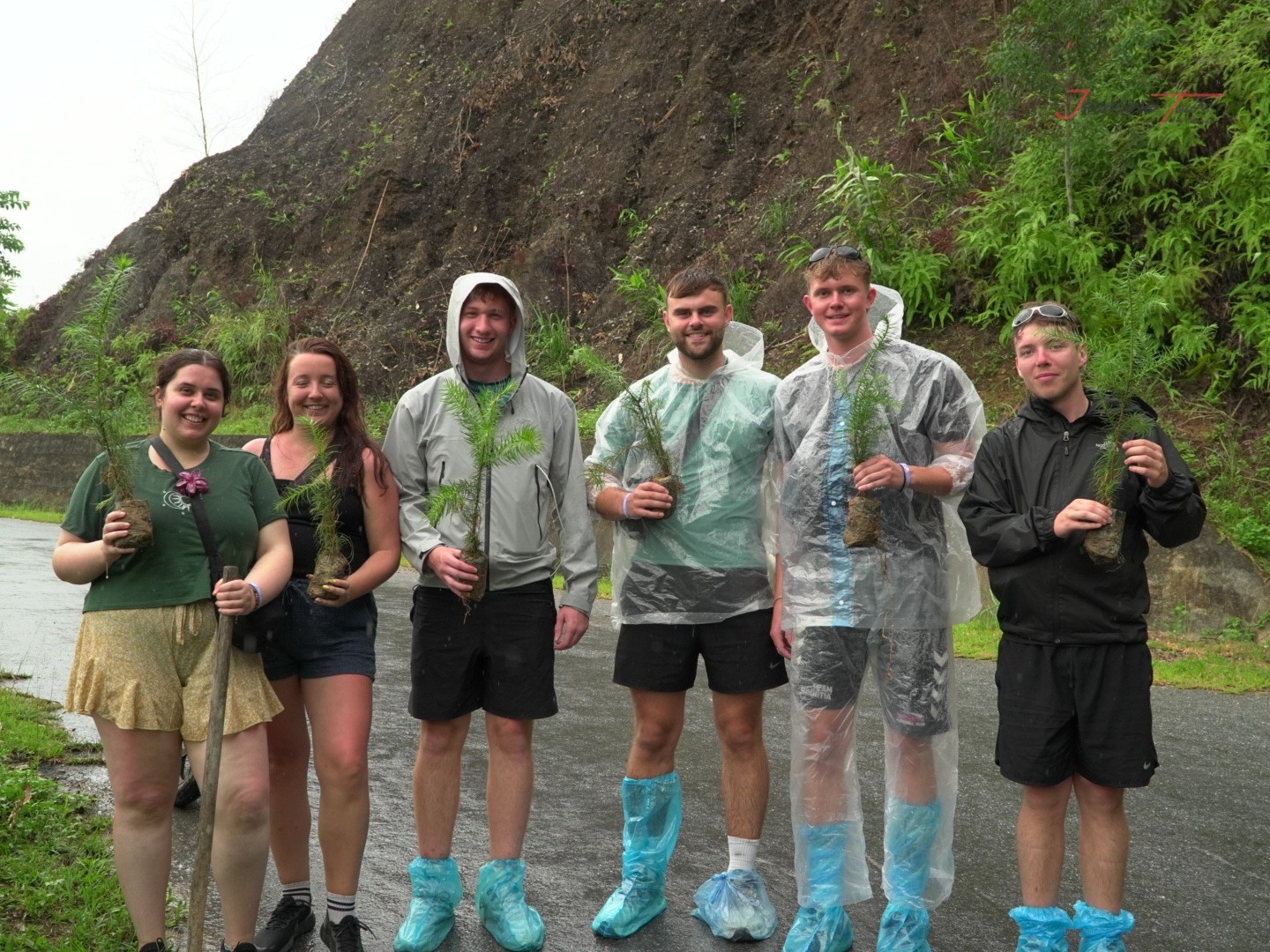 Ha Giang Loop Adventures Plant Tree
