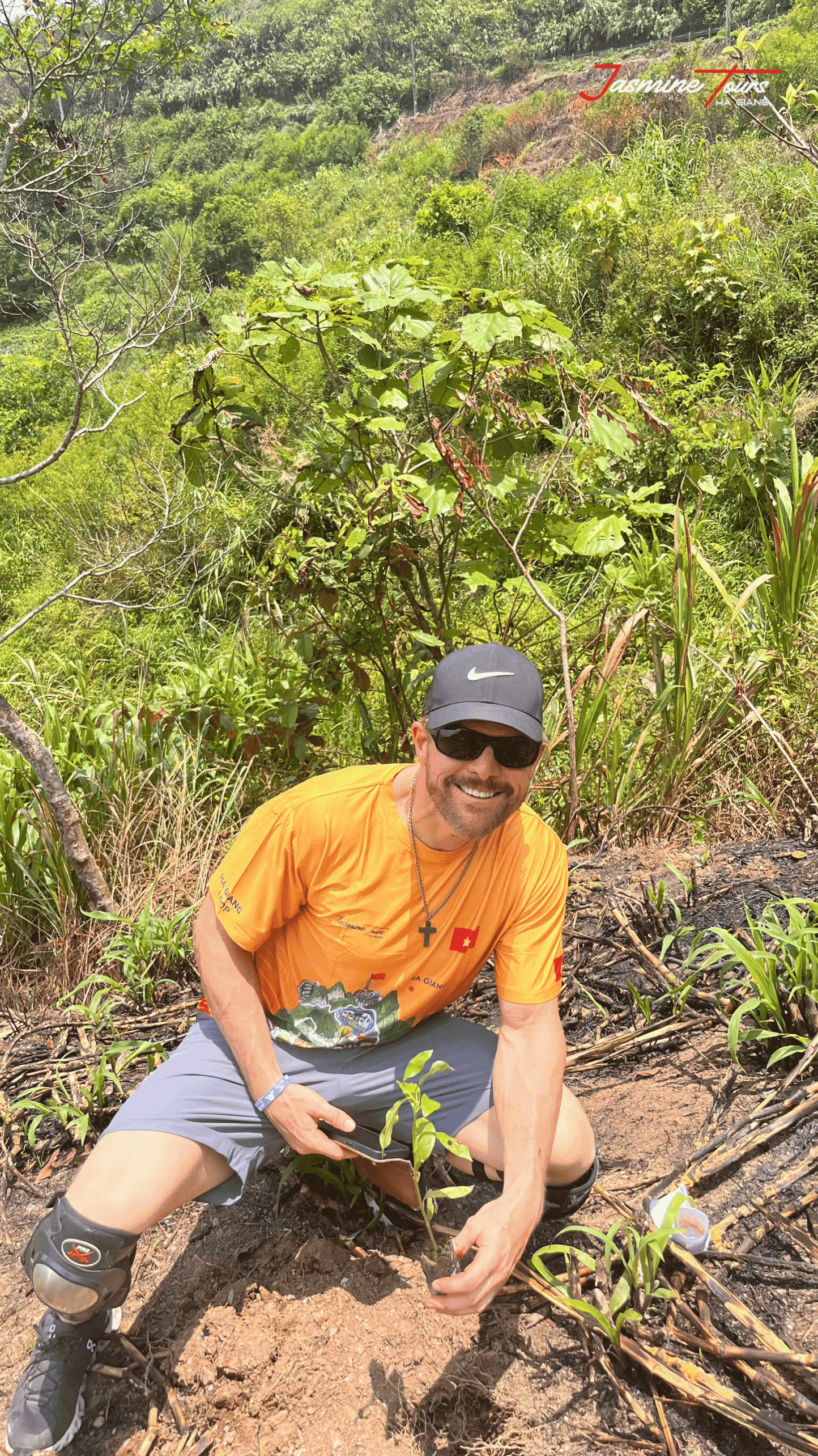 Ha Giang Loop by Car plant tree