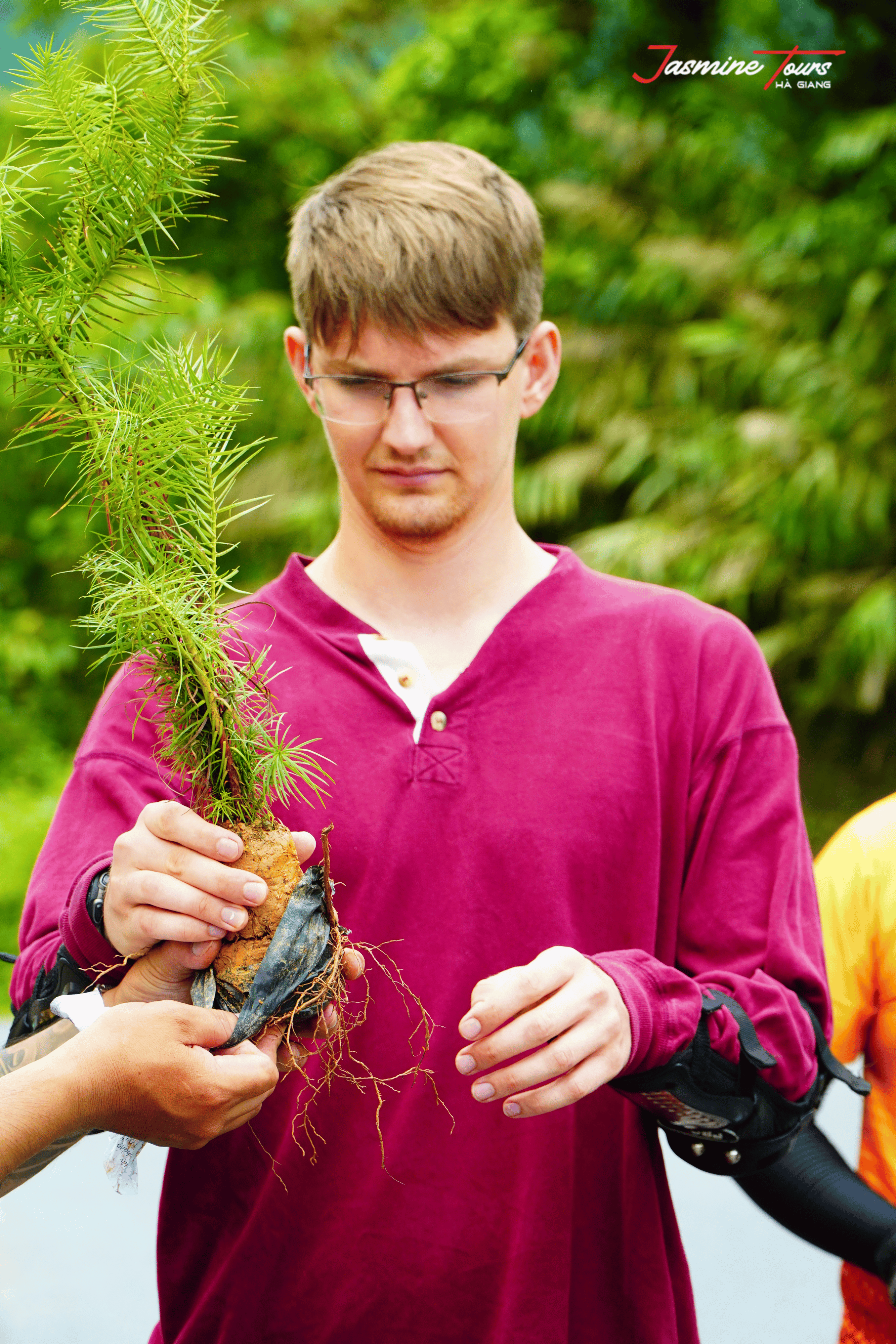 ha giang loop deaths plant small tree