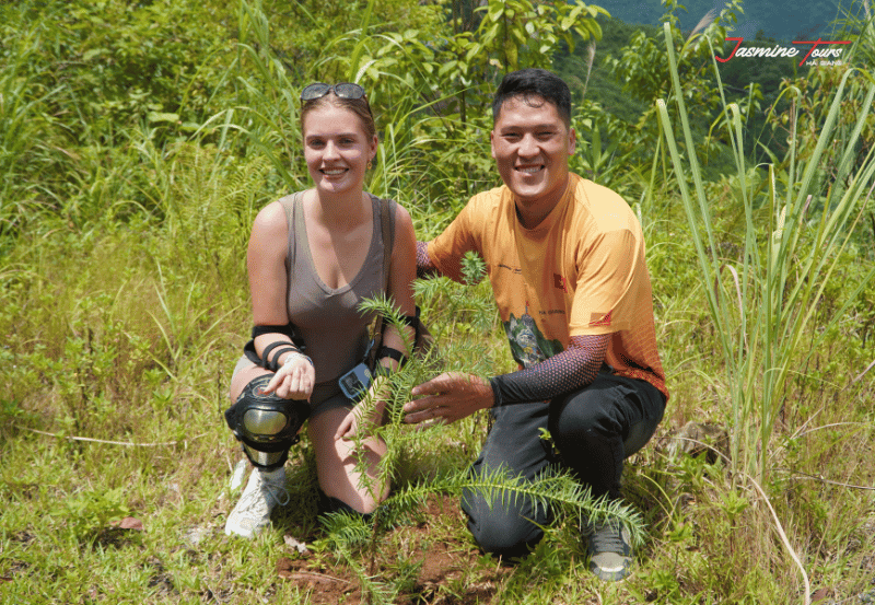 Ha Giang Province plant tree